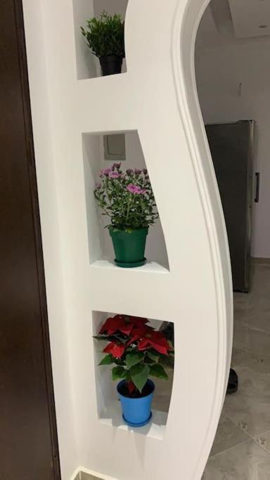 Shared Close To Airport Garden View مشترك بالقرب من المطار مطل على حديقة Apartment