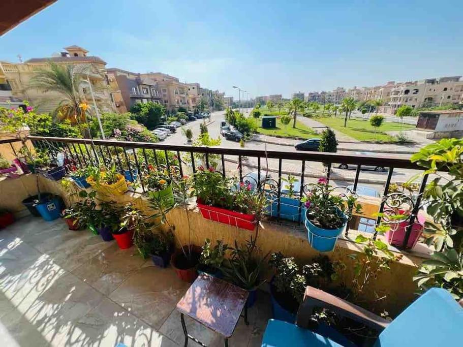 Shared Close To Airport Garden View مشترك بالقرب من المطار مطل على حديقة *